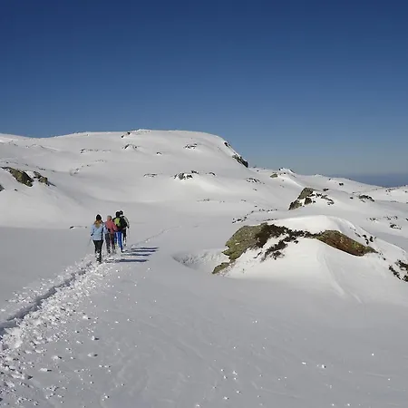 Gîtes Le Paradoxe des Pyrénées Montferrier Habitación foto