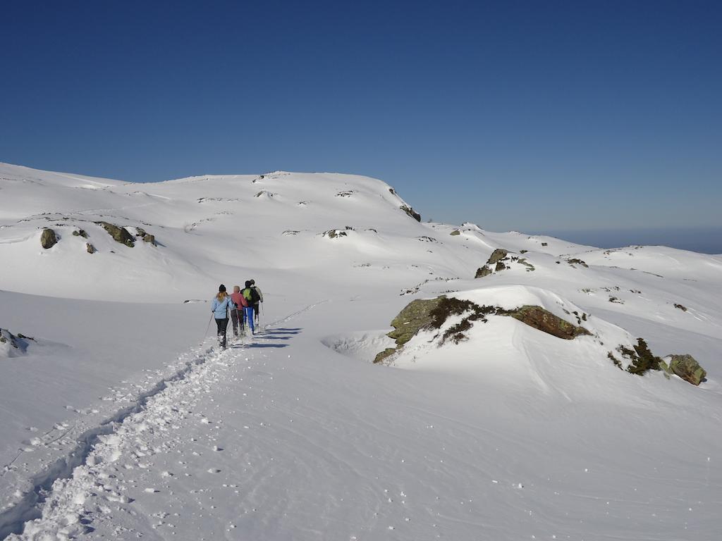 Le Paradoxe Des Pyrenees